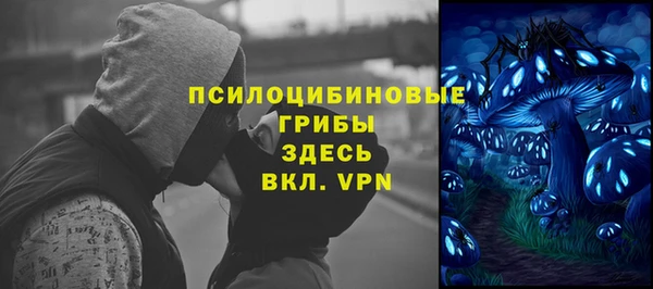 амф Козловка