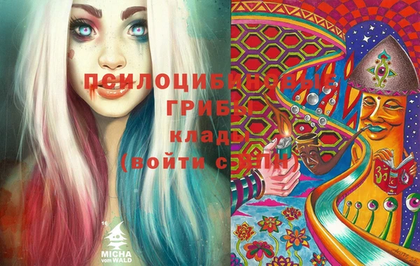 прущий лед Краснослободск