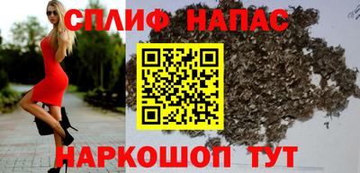 шишки Бийск