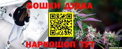 стафф Апшеронск