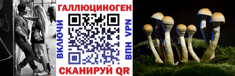 Галлюциногенные грибы Psilocybine cubensis  площадка телеграм  Беслан 