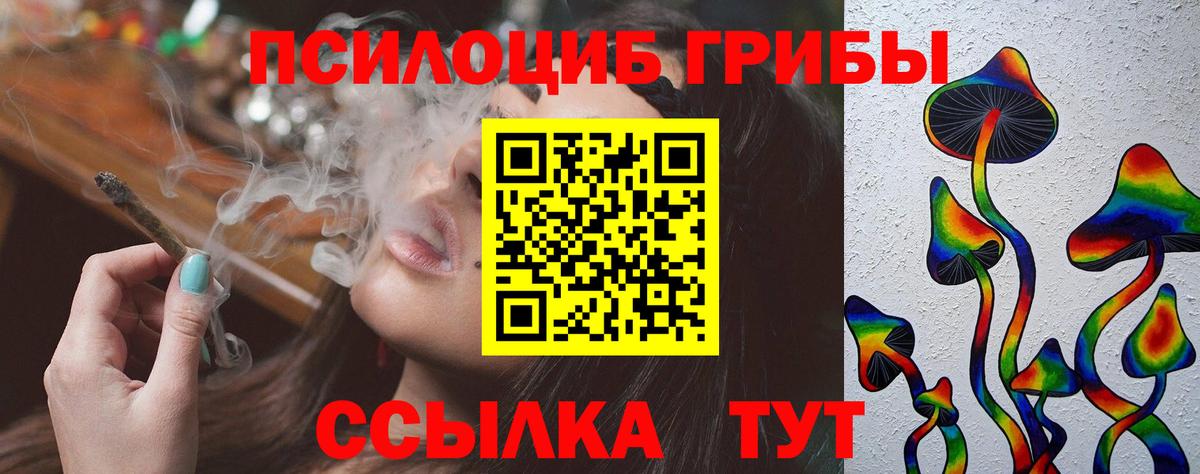 Псилоцибиновые грибы Psilocybine cubensis  Вход с VPN  Галлюциногенные грибы прущие грибы  Беслан 