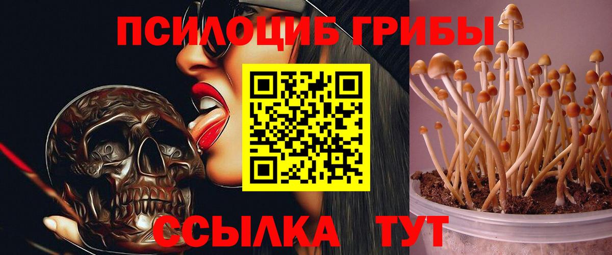 Псилоцибиновые грибы Magic Shrooms Беслан