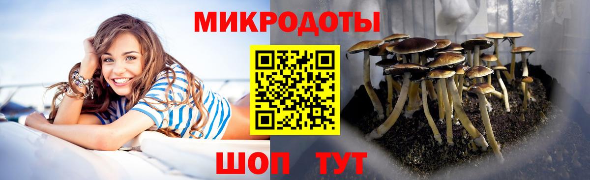 Галлюциногенные грибы ЛСД  Беслан  Псилоцибиновые грибы Magic Shrooms 